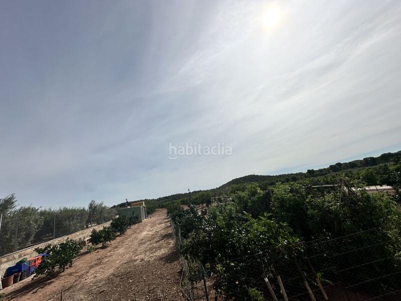 Foto c18fde4c-148f-49da-9831-be34d31f12db. Residential plot in Torres Torres