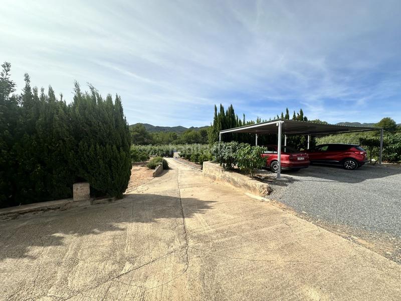 Foto fce45f9f-8e9f-42fa-bbbc-40e789db7ade. Residential plot in Torres Torres