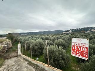 Terreny residencial a Petrés