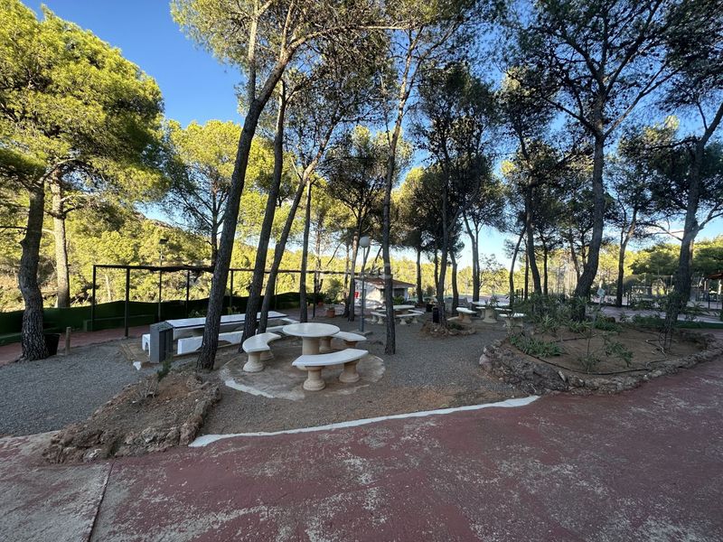 Foto 01e3651e-5186-42e9-9193-3d9cec5adbb8. Terreny residencial a Torres Torres
