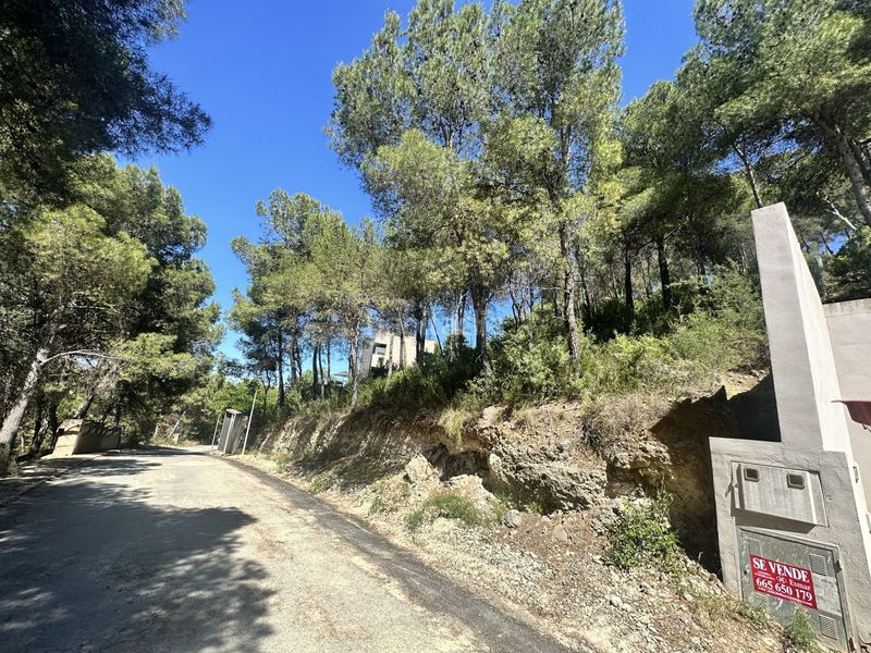 Foto 31ce5689-4c23-4c88-b1e5-eaa1b5f58d89. Terreny residencial a Torres Torres