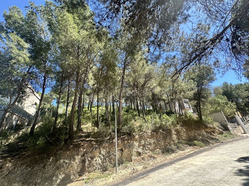 Foto c2bad26a-fd7f-4769-8384-1c73c0fc00c9. Terreny residencial a Torres Torres