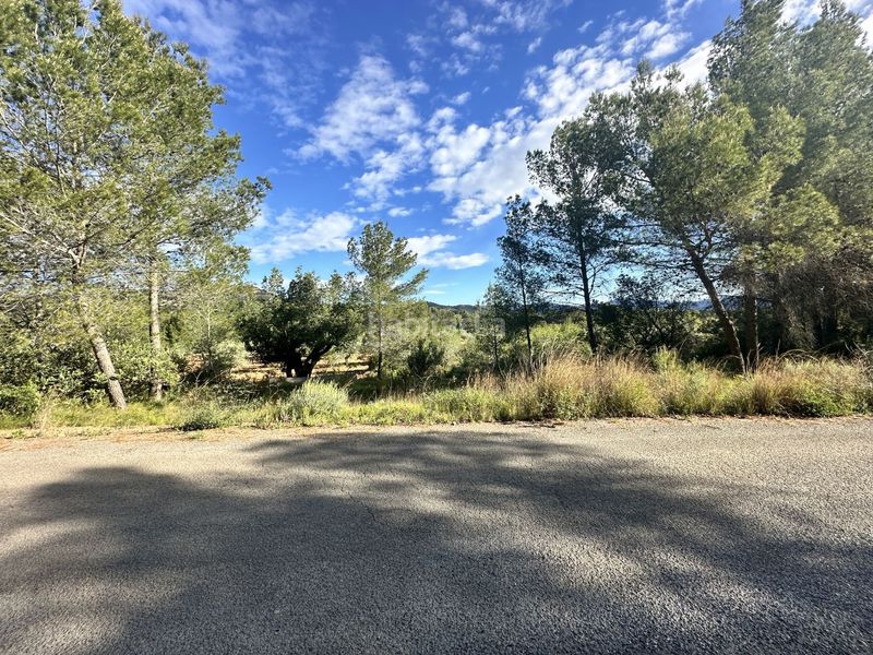 Foto 6bff7366-fa55-4e24-a0aa-b7e2a7d6807a. Terreny residencial a Estivella