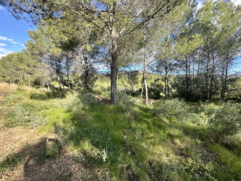 Foto 83be66dc-e04e-44b6-83b2-81ba6fe9956d. Terreny residencial a Estivella