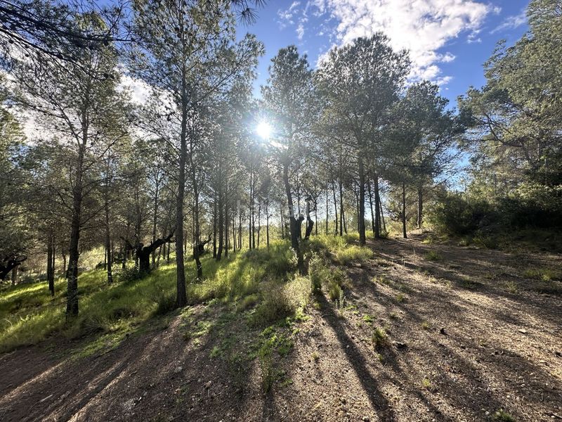 Foto 791ff768-85ac-4284-9910-ec7e60dd87d7. Terreny residencial a Estivella