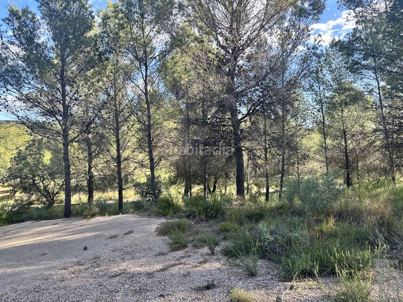 Foto 996328d6-8dd0-4829-b5cc-9afeb6500c11. Terreny residencial a Estivella