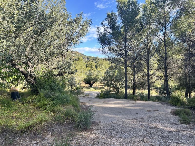 Foto a2f9a6ff-c12a-4b69-ba79-be071140fee7. Terreny residencial a Estivella