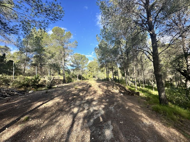 Foto aa0f0a34-ef96-448b-aeec-8bdb7dced349. Terreny residencial a Estivella