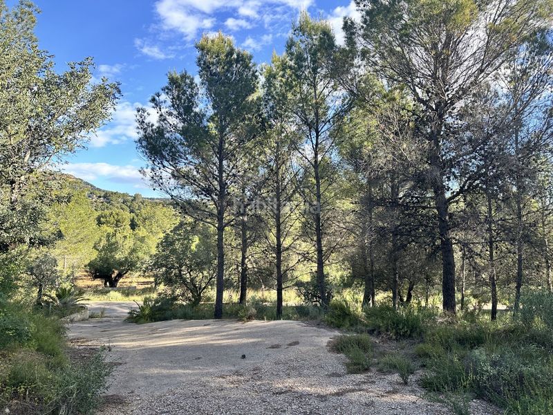 Foto b116739f-e7ec-4014-8f92-3d7f05a7f8cd. Terreny residencial a Estivella