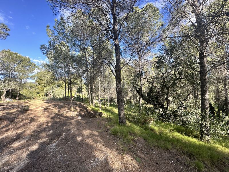 Foto cf6f5868-fcfd-4d52-8c73-bdbb2d1e6b66. Terreny residencial a Estivella