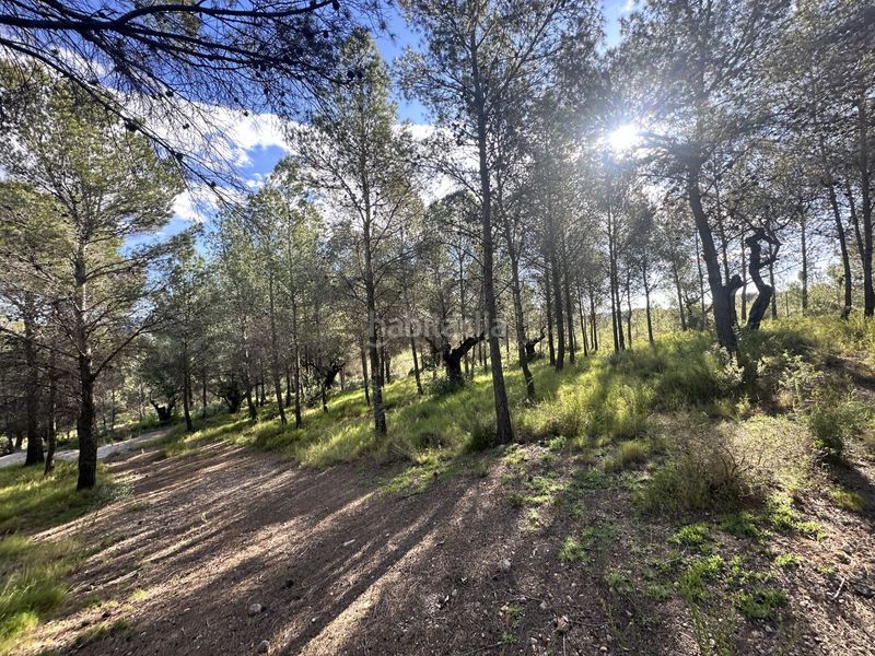 Foto d733fddc-f2e2-41eb-9156-84c4e24df28f. Terreny residencial a Estivella