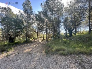 Terreny residencial a Estivella. Terreno rústico en venta en montaña.