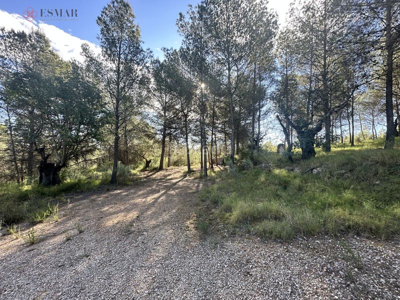 Foto f5c140cd-4ea2-47a8-88b6-b6d7f98204c6. Terreny residencial a Estivella