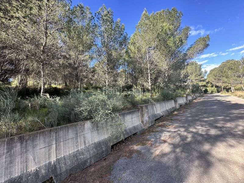 Foto f5d782de-59b5-4674-a646-a3320d9f4c4f. Terreny residencial a Estivella