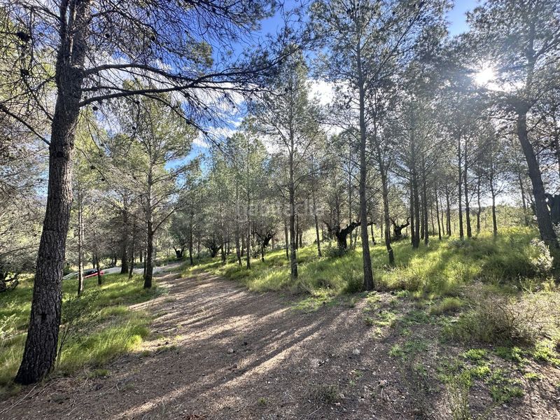 Foto fd09426f-417a-4502-8d5a-d45849e80372. Terreny residencial a Estivella