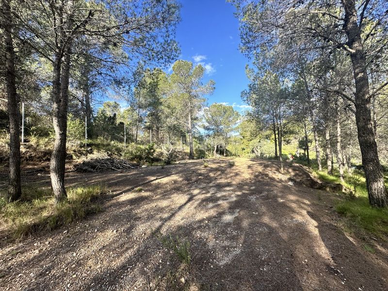 Foto fda26036-fc68-4b30-8cc5-b19f06b56ed9. Terreny residencial a Estivella