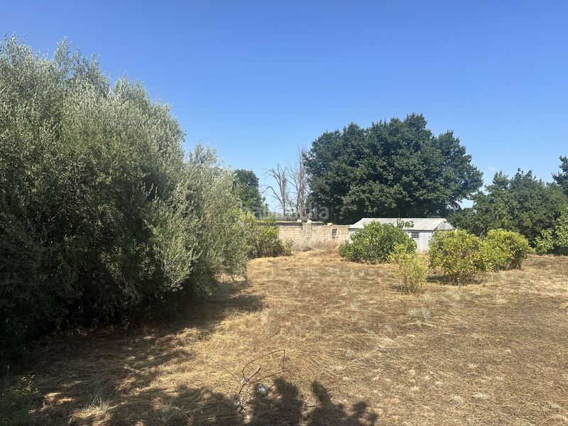 Foto b86126f5-a8a2-4b74-91bc-e30f778727be. Terreny residencial a Algímia de Alfara
