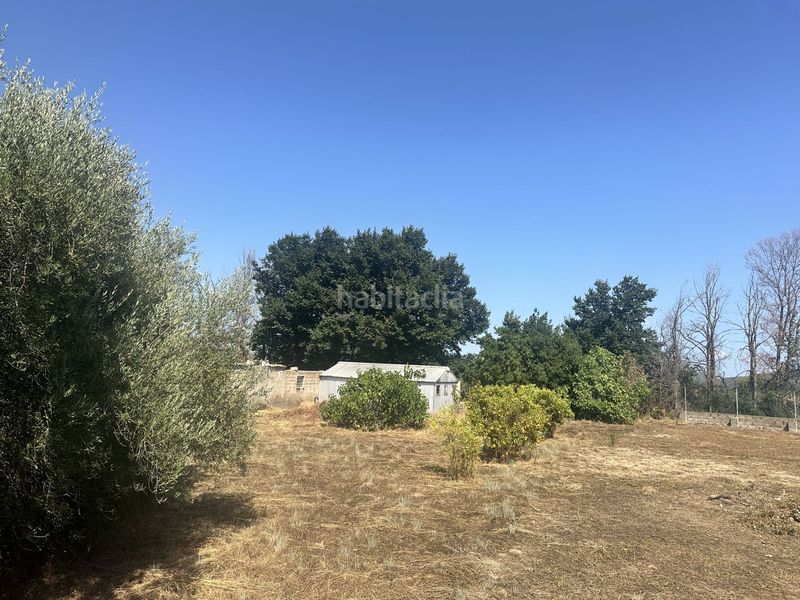 Foto c6b4b811-d983-46a3-a222-244a260daf55. Terreny residencial a Algímia de Alfara