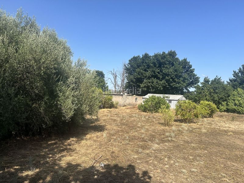 Foto ce951c42-f484-474a-8942-9c0bf89bd1e1. Terreny residencial a Algímia de Alfara