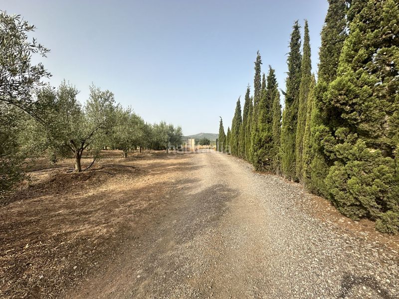 Foto f1776481-54e9-4556-8aef-91de7d77fcb8. Xalet amb calefacció a Sot De Ferrer
