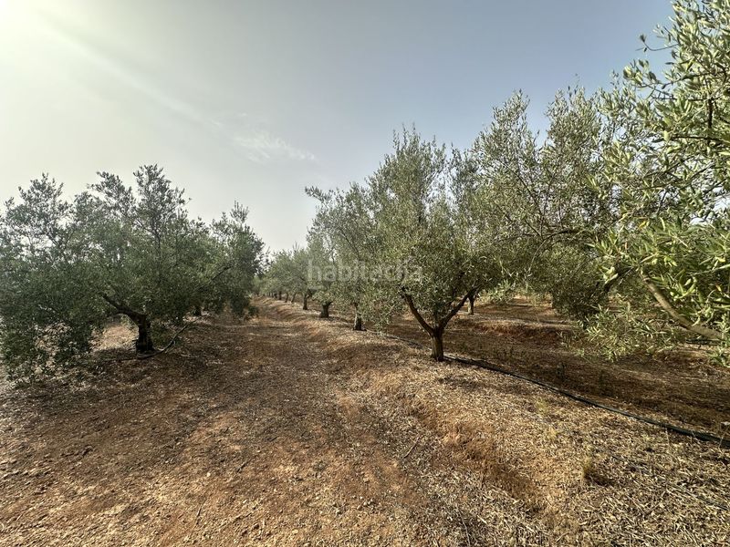 Foto fef62b2b-7760-47d0-9b49-aef51c65b3bd. Xalet amb calefacció a Sot De Ferrer