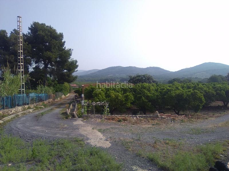 Foto 6d96314c-e4c1-4211-aadd-ef9f84b9d0a1. Masia a Centro-El Castillo Sagunt