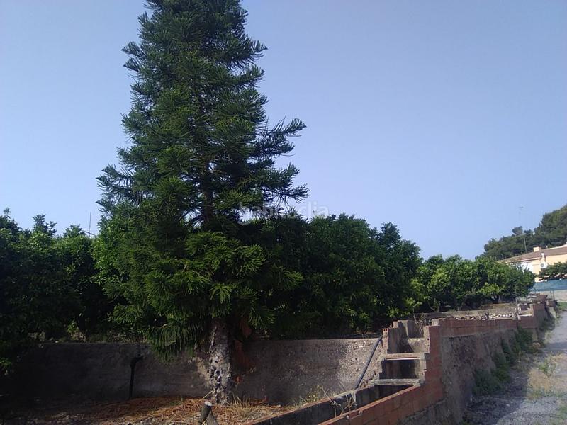 Foto d8eb77d2-18f2-4caa-bfb4-4544f1043392. Masia a Centro-El Castillo Sagunt