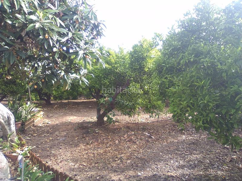 Foto e0642da8-ba1d-480f-93ae-3d663734bb83. Masia a Centro-El Castillo Sagunt