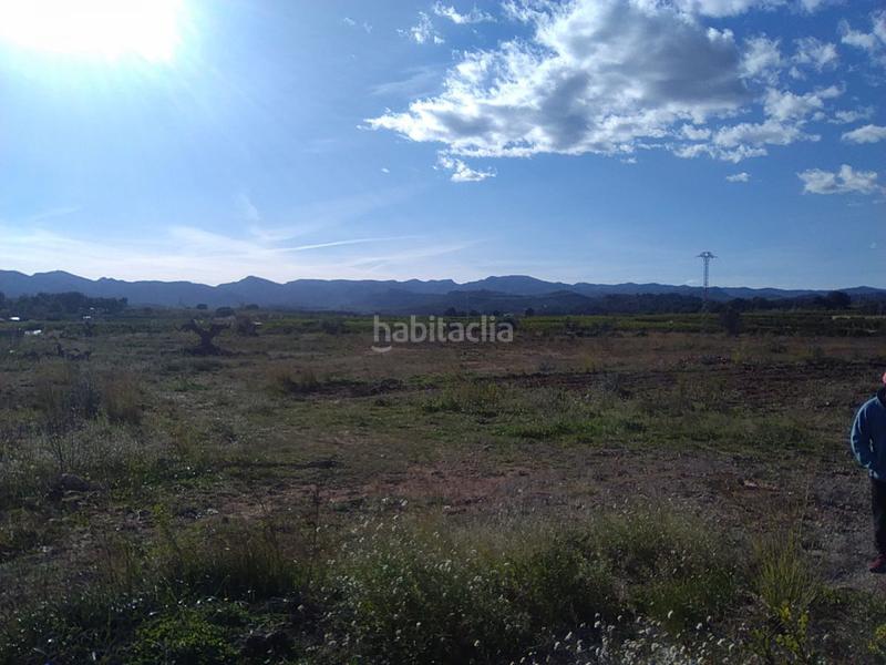 Foto 16d30497-2519-4546-9e0a-18f35b38f7b8. Finca rústica finca rúst. en venta . en Alfara de Algimia