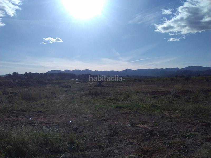 Foto 54e60516-7bbe-4cdd-8c73-91263ca1e1e7. Finca rústica finca rúst. en venta . en Alfara de Algimia