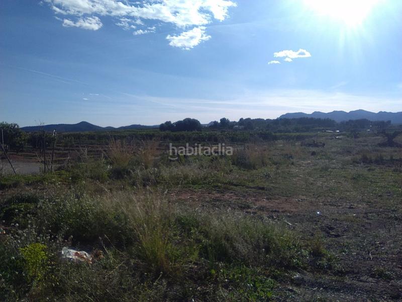 Foto 76c2035a-96f5-4a4e-b879-eb5f12992fc3. Finca rústica finca rúst. en venta . en Alfara de Algimia