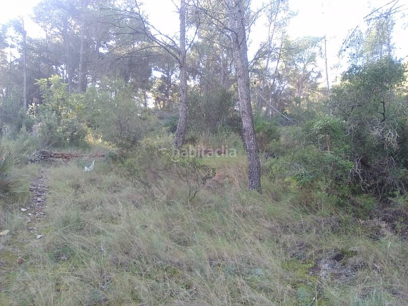 Foto 0fe8c3d7-f760-4d3c-a27a-6cd587b95942. Terreno residencial parc. rúst. en venta en montaña. en Estivella
