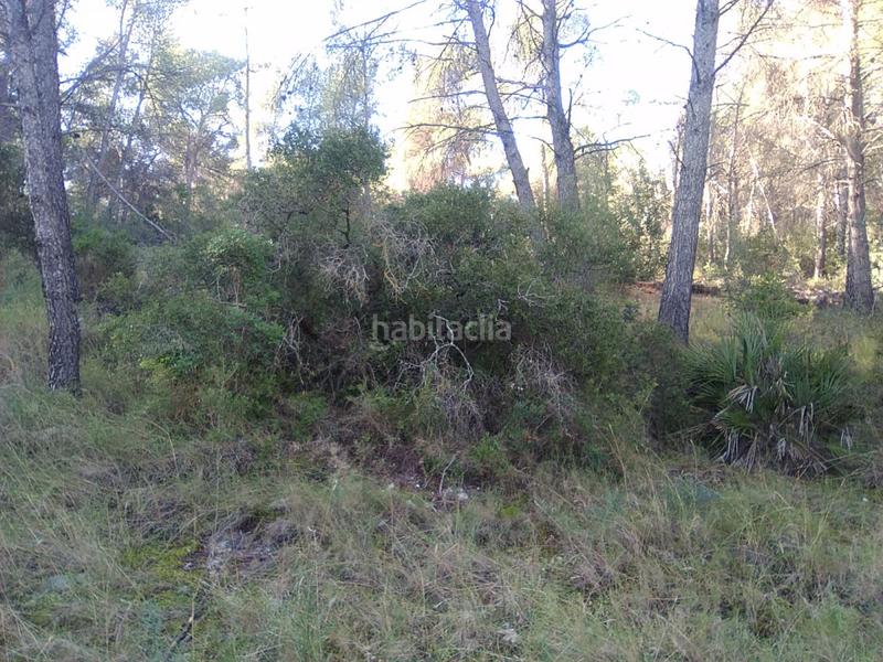 Foto 12e26bb6-551a-46d9-b6aa-828b92df3a7d. Terreno residencial parc. rúst. en venta en montaña. en Estivella