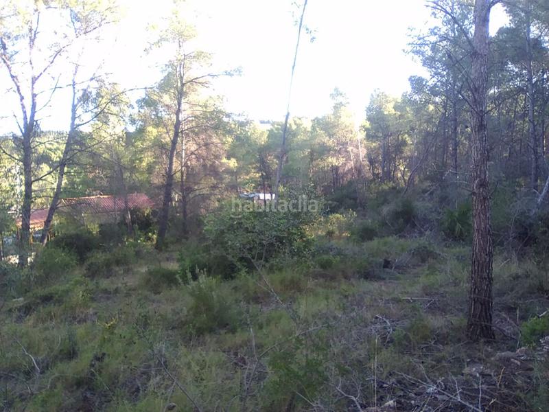 Foto 32f43118-e6ac-4d26-8799-380793b1dc76. Terreno residencial parc. rúst. en venta en montaña. en Estivella