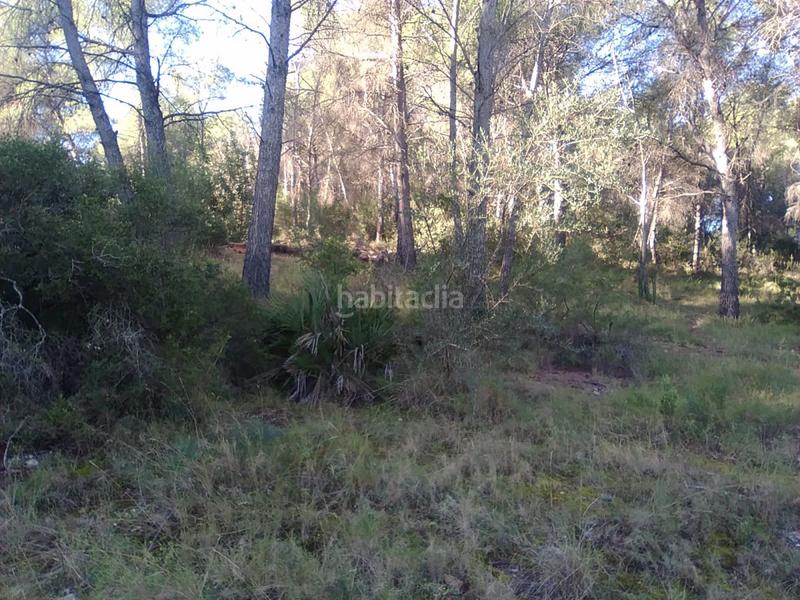 Foto 4b6c8be5-cffd-4f23-8d62-3384b172619c. Terreno residencial parc. rúst. en venta en montaña. en Estivella