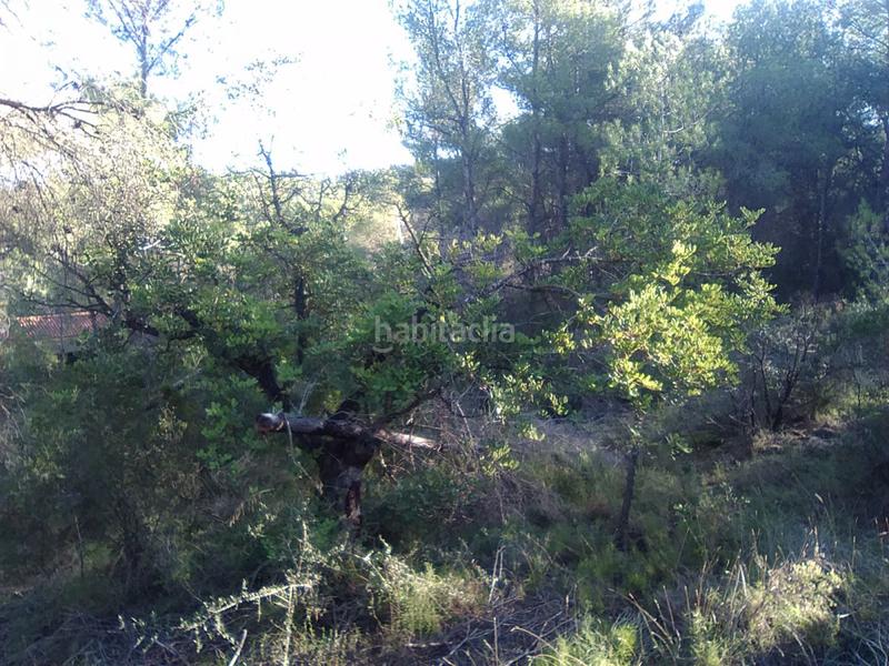 Foto 78f5e904-c223-460c-a167-f808d2618b1a. Terreno residencial parc. rúst. en venta en montaña. en Estivella