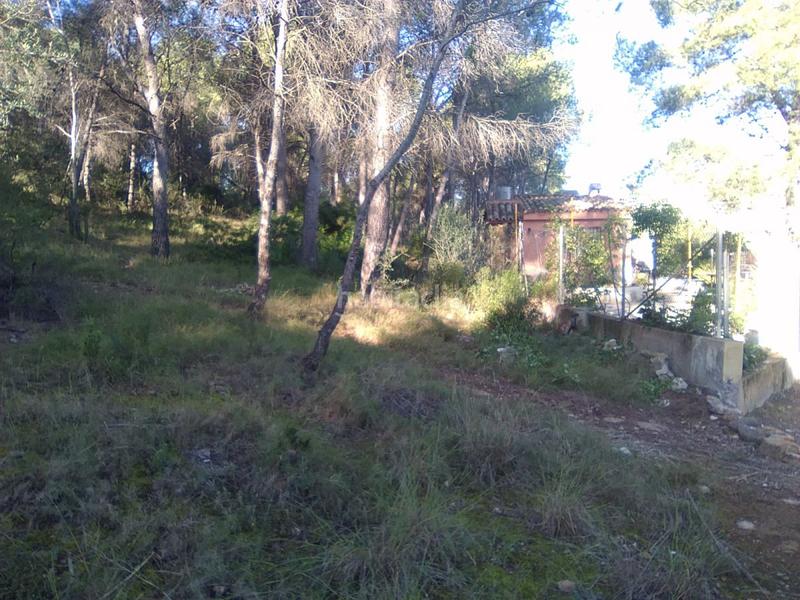Foto 818962c9-2891-4e4b-94cf-48acac9b8037. Terreno residencial parc. rúst. en venta en montaña. en Estivella