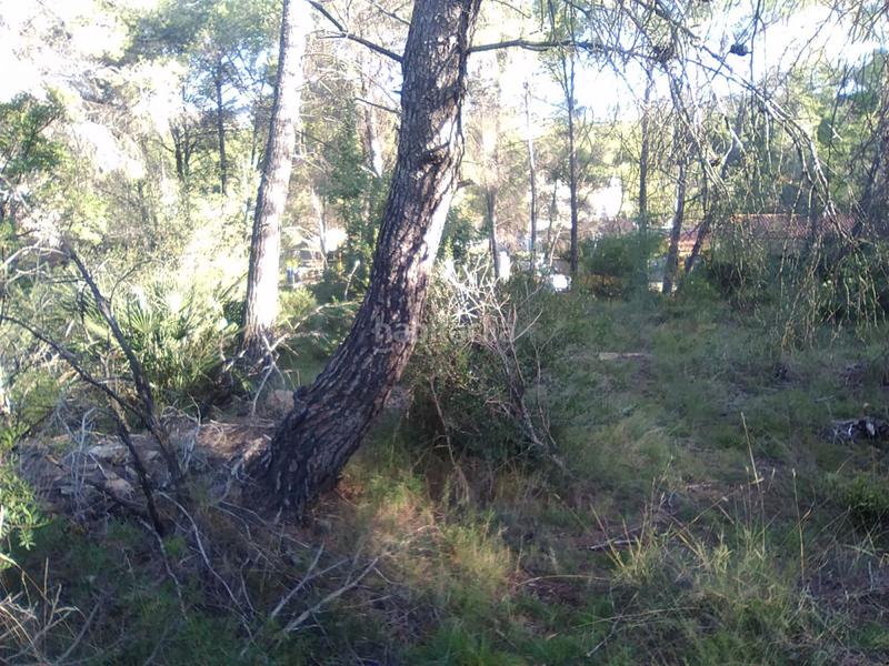 Foto c6f373e5-e4b6-45cd-a5d9-c43defe8362a. Terreno residencial parc. rúst. en venta en montaña. en Estivella