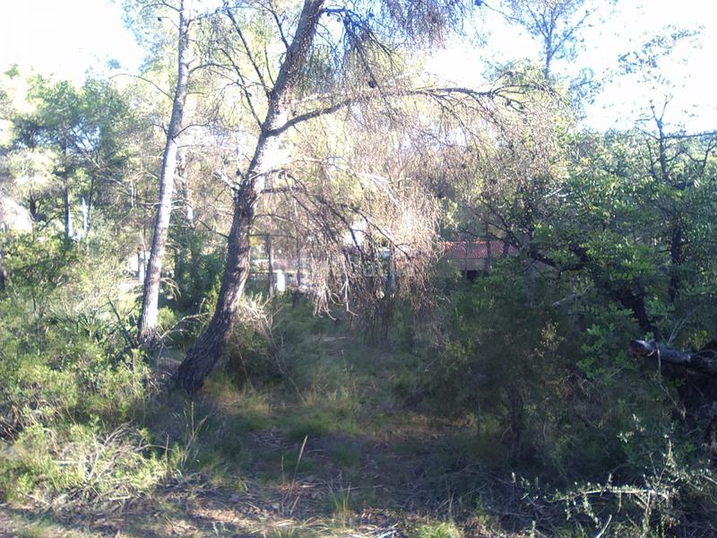 Foto d5017239-ac9d-4db8-9752-1fd745224334. Terreno residencial parc. rúst. en venta en montaña. en Estivella