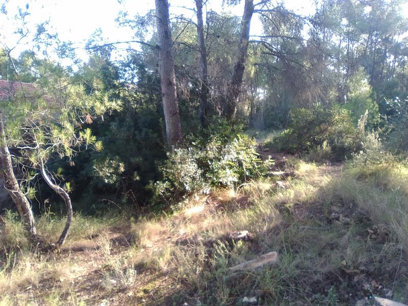Foto f917c395-7476-46d6-b1d6-0cb36f3d7279. Terreno residencial parc. rúst. en venta en montaña. en Estivella