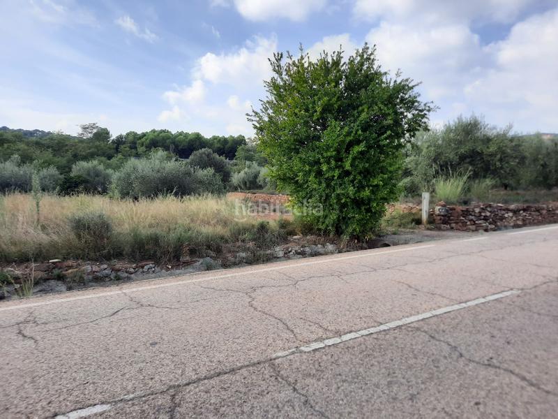 Foto 7bceeacc-9765-4cb2-9b79-aa6c7447359b. Terreno residenziale in Algímia de Alfara