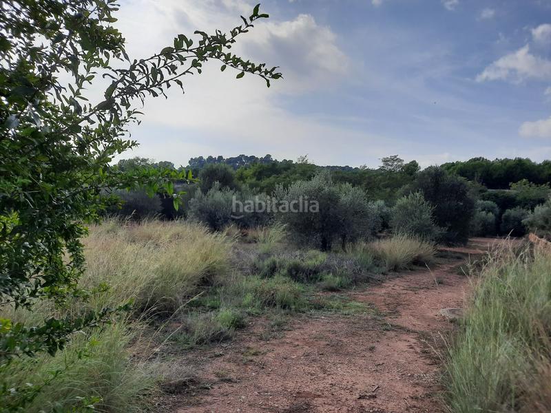 Foto a9b06c27-bf8d-4938-8ac1-d2877d6f0865. Terreno residenziale in Algímia de Alfara