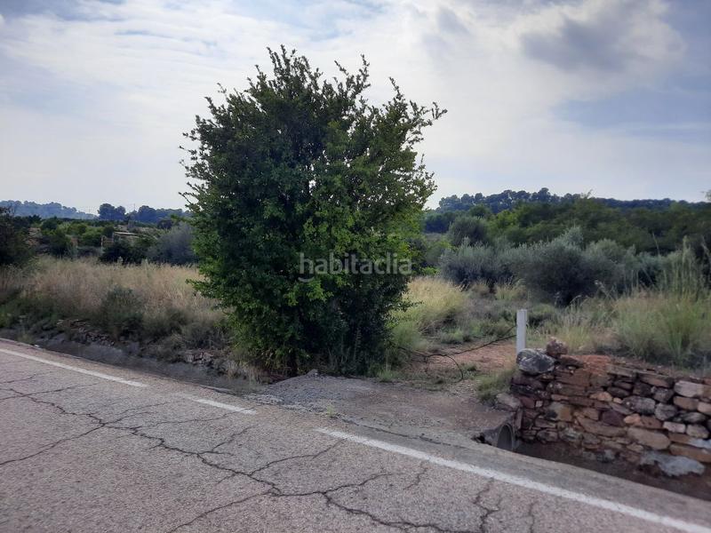Foto b83731c0-f3c3-467a-98d0-bc925d3f90cc. Terreno residenziale in Algímia de Alfara