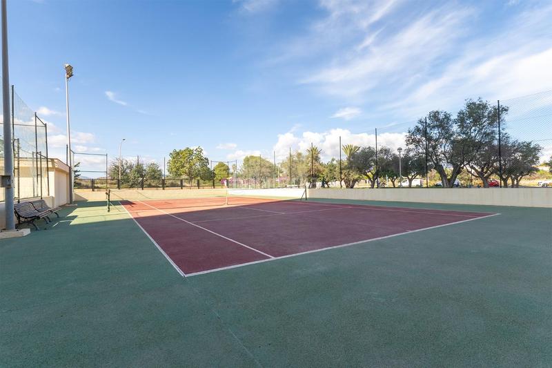 Foto 178f73a0-cc5c-47c9-8cfa-1563d532938d. Affitto piccolo appartamento con piscina in Playa Muchavista Campello (el)