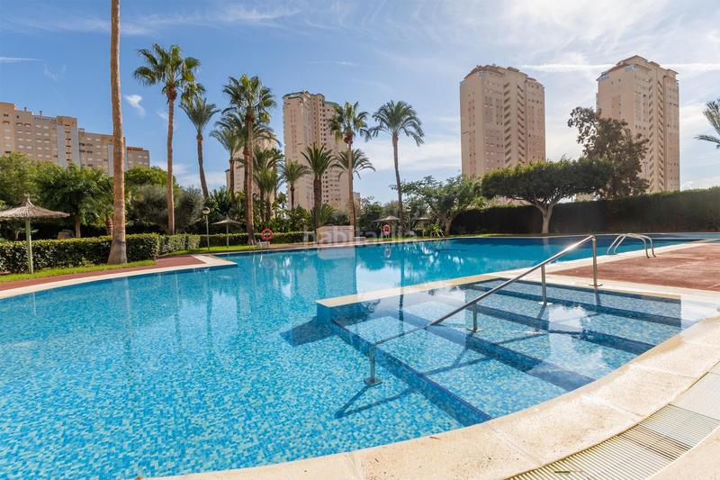 Foto b7907340-5874-46bc-999f-b14e653d9278. Affitto piccolo appartamento con piscina in Playa Muchavista Campello (el)