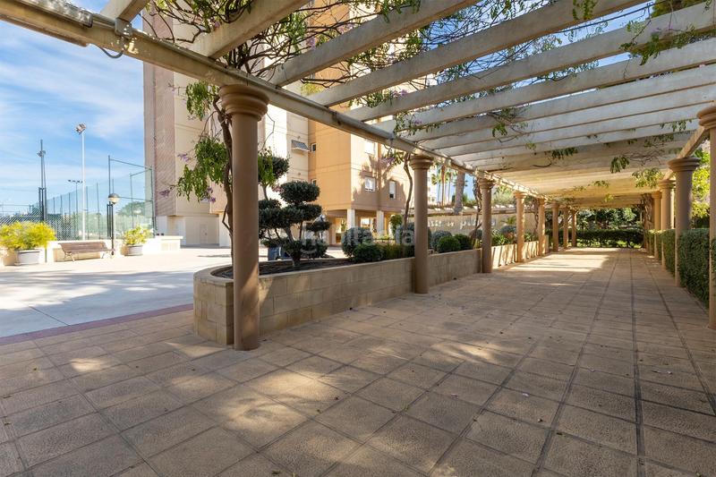 Foto 091e6f59-5ea7-436b-aaaa-ea34d94d1d42. Lloguer apartament amb piscina a Playa Muchavista Campello (el)