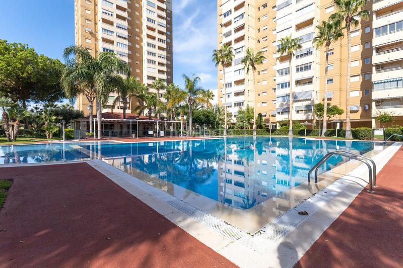 Foto 1175e5ce-cdf5-49ae-8860-74a2186a91fa. Lloguer apartament amb piscina a Playa Muchavista Campello (el)