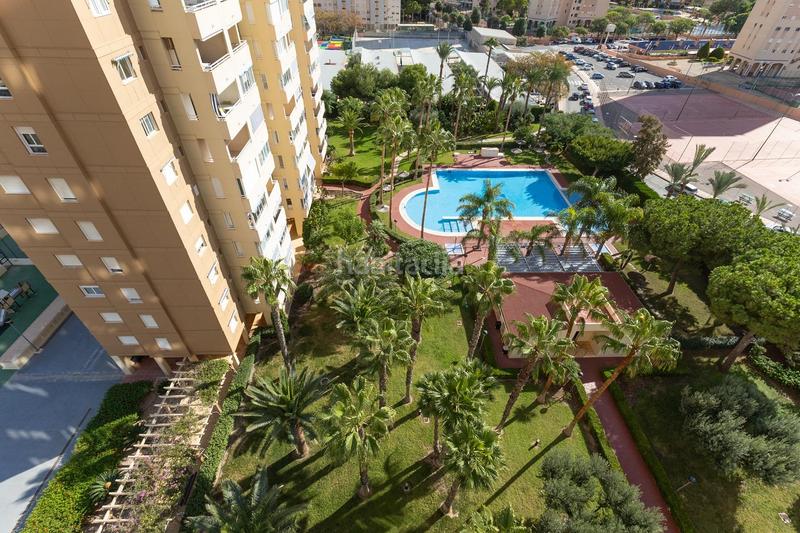 Foto 74afad24-1433-4aef-a76e-af14c4642dc0. Lloguer apartament amb piscina a Playa Muchavista Campello (el)