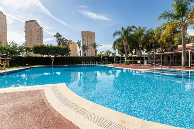 Foto 792bf22c-b47d-4fbd-8d61-def7ef1eb57a. Lloguer apartament amb piscina a Playa Muchavista Campello (el)