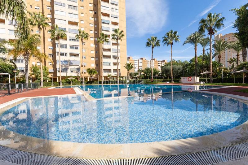 Foto f286f50e-8838-44bc-af4f-dec4b8849ecd. Rent apartment with pool in Playa Muchavista Campello (el)